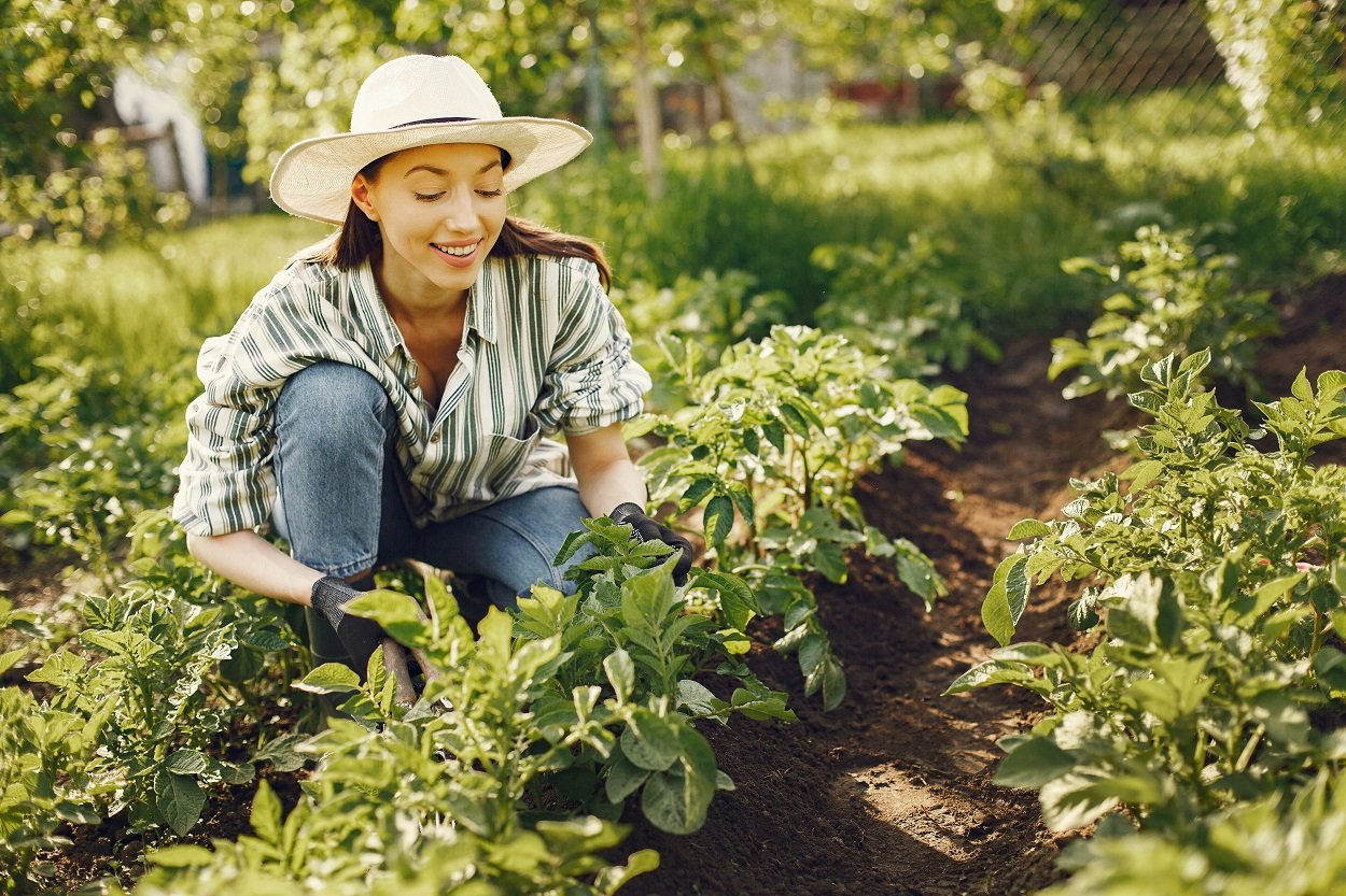 Mulher cuidando de horta usando chapéu de palha, camisa xadrez e calça jeans, como cultivar verduras