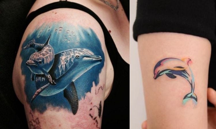 tatuagem de golfinho colorida