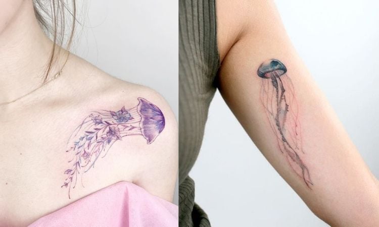 tattoo de água-viva