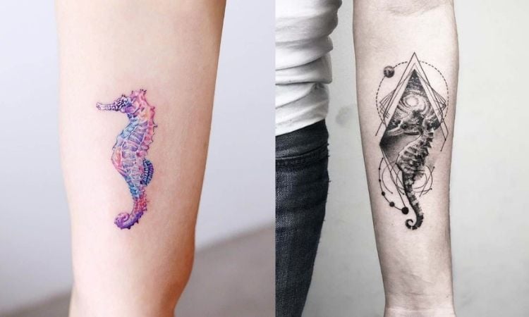 tatuagens de cavalo-marinho