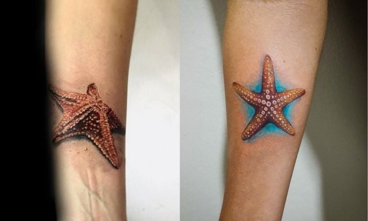 tatuagens de estrela-do-mar
