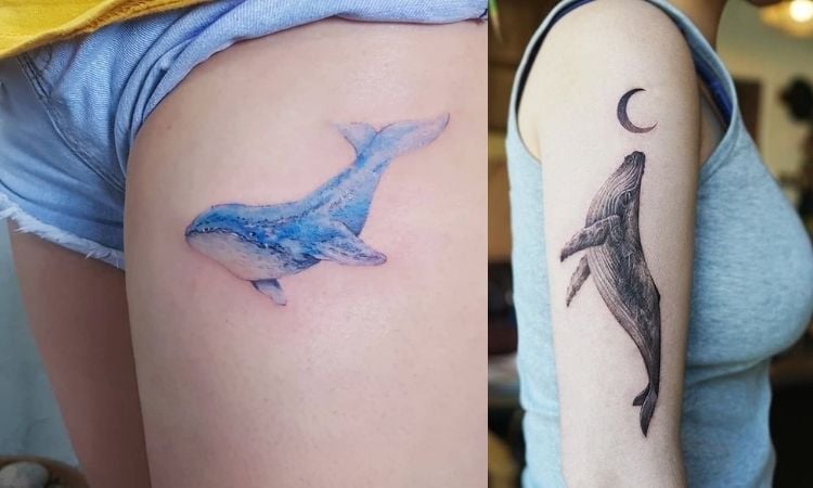 baleias tatuadas