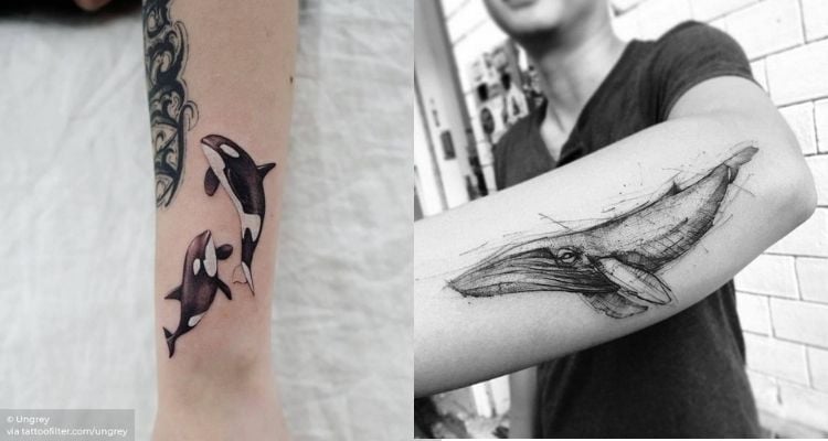 tatuagens de baleia