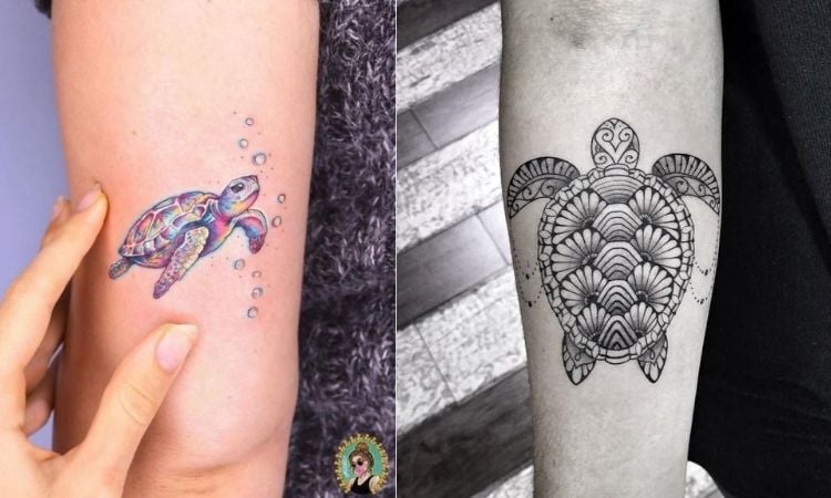 tatuagens de tartaruga marinha