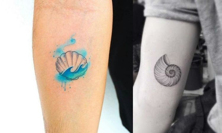 duas opções de tatuagem de concha no braço