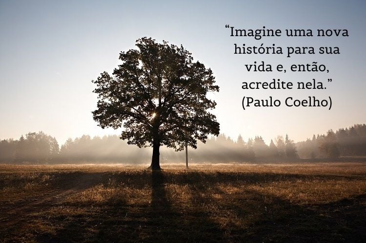 citação de Paulo Coelho com foto de árvore ao fundo