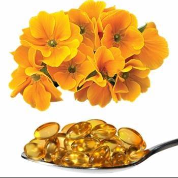 Flores de prímula com colher cheia de pílulas de óleo