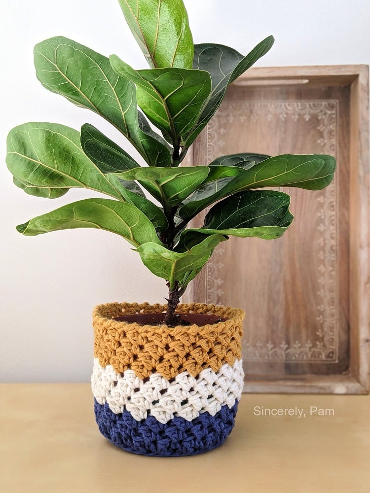 Foto de planta Ficus lyrata com cachepô de crochê