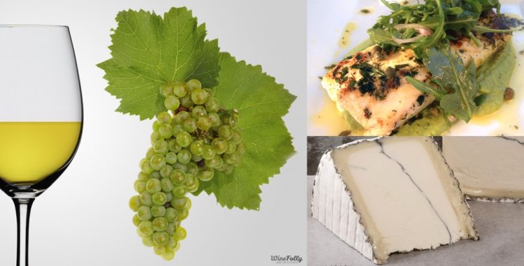 imagem de uma taça de vinho chardonnay com sugestão de harmonização com peixe grelhado ao molho de ervas e queijo macio