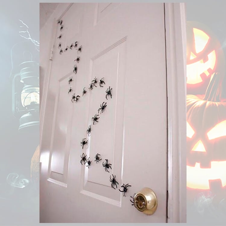 Foto de porta decorada com aranhas pequenas andando juntas