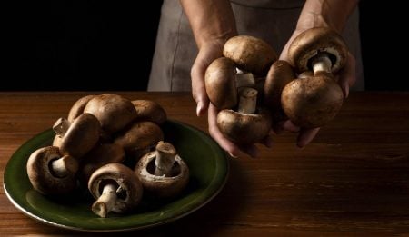 Cogumelos: benefícios e tipos do poderoso alimento