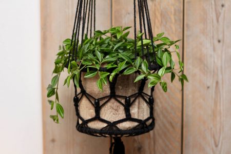 Macramê para planta: como fazer + fotos e vídeos de inspiração