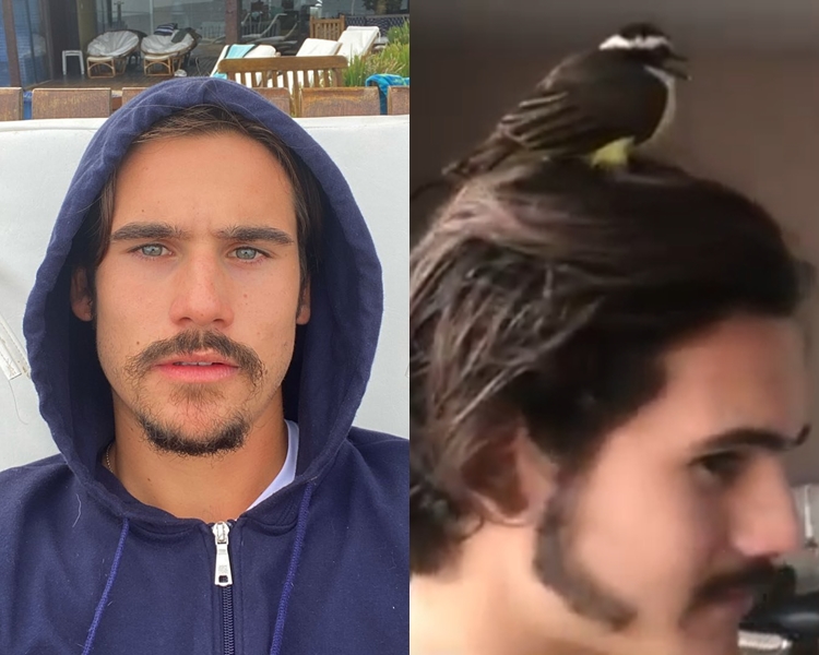 Foto de Nicolas. 