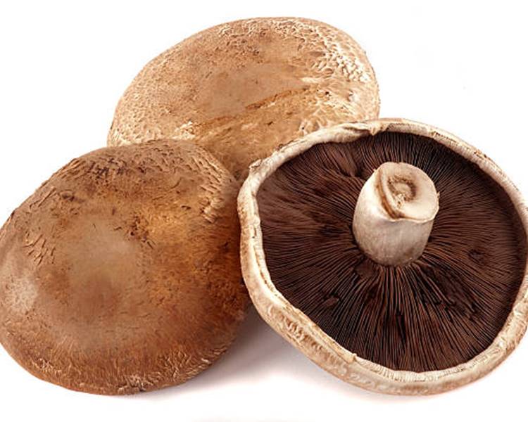 Foto de cogumelos do tipo portobello.