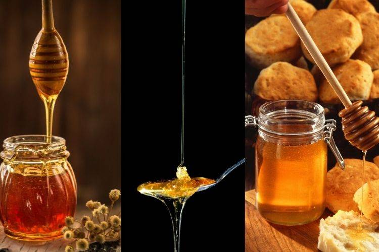 Tipos de mel 