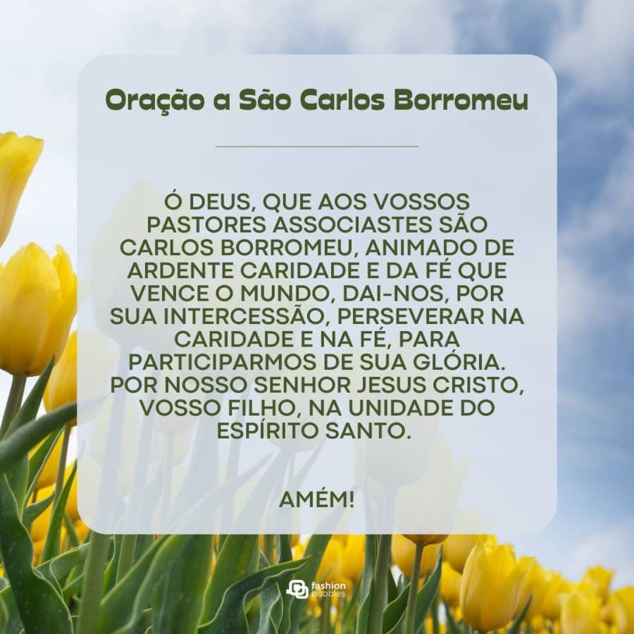 Foto de campo de flores amarelas com oração de São Carlos Borromeu em destaque