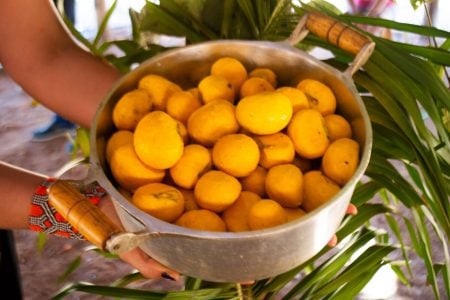 Pequi: 9 benefícios da fruta do cerrado brasileiro