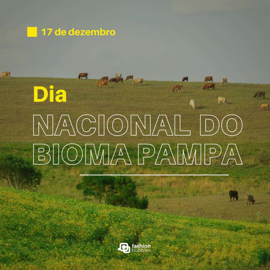 Foto da região Pampa com a frase "dia nacional do bioma pampa" em cima
