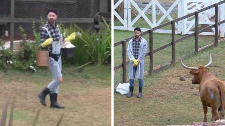 Montagem de Rico Melquiades com animais em A Fazenda Rico fazendo as atividades em A Fazenda Fonte: Twitter