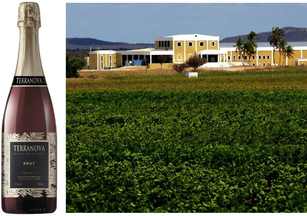 Foto da esquerda com garrafa de espumante marca Terranova da Miolo e imagem da direita dos vinhedos localizados na região do Vale do rio São Francisco na Bahia