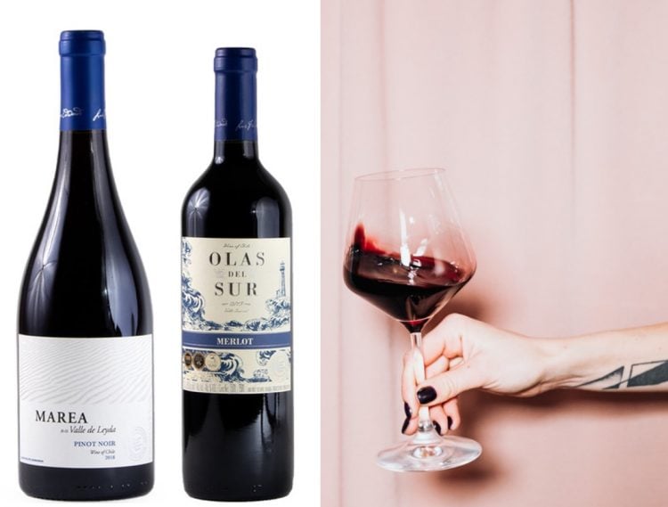 Foto da esquerda duas garrafas de vinhos chilenos das uvas pinot noir e merlot, foto da direita mulher segurando uma taça de vinho tinto