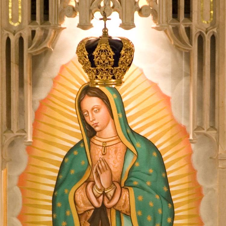 Foto de Nossa Senhora de Guadalupe.