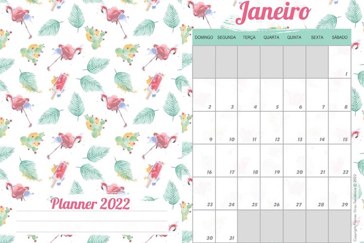 Foto de calendário com capa de flamingos.