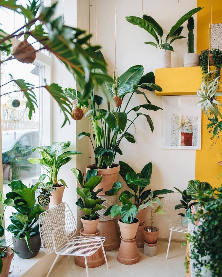 tendências de arquitetura varanda com vasos de plantas, móvel amarelo e cadeira branca tendências de arquitetura varanda