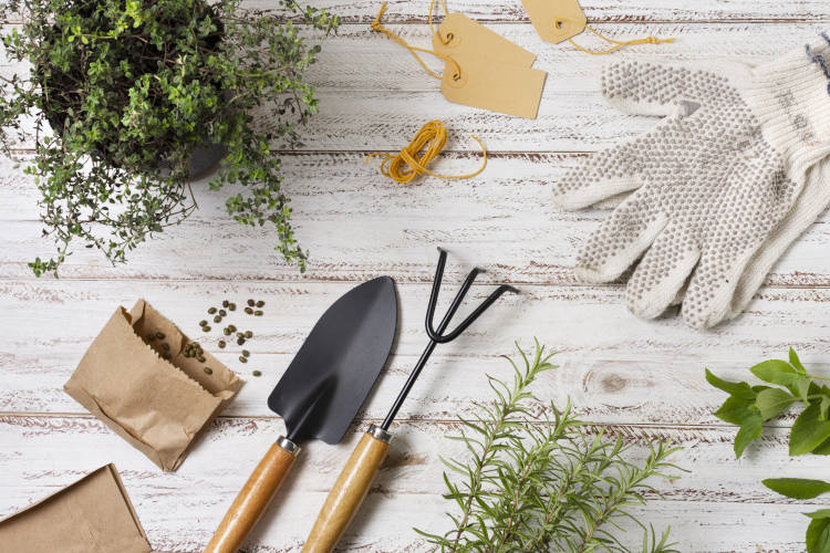 utensílios de jardinagem