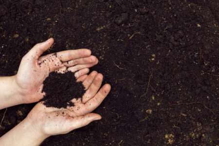 mãos segurando terra adubada, preparação do solo preparação do solo
