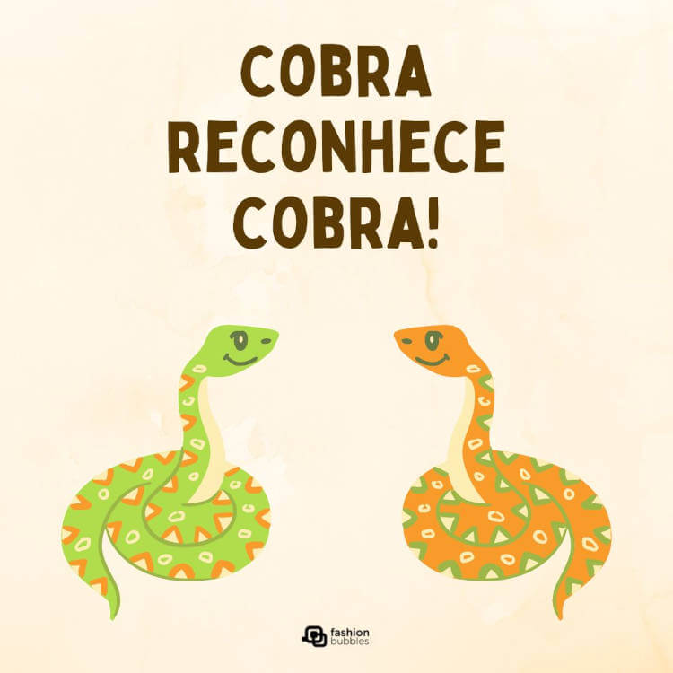 Cobra reconhece cobra