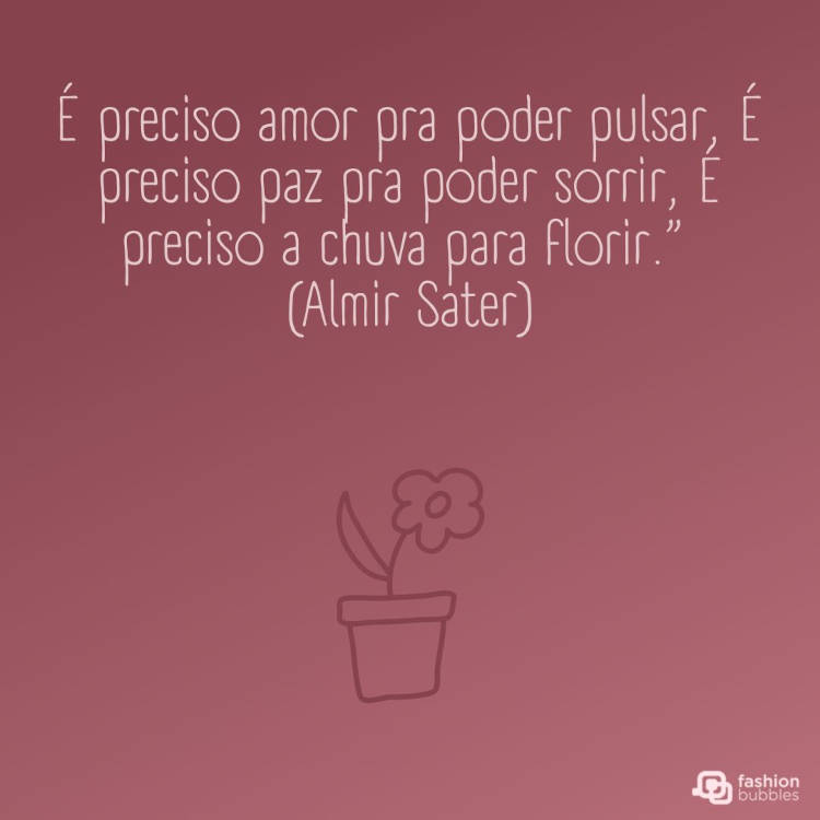 Frase de Almir Sater