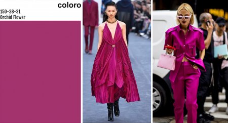cor do ano 2022 WGSN magenta orchid flower