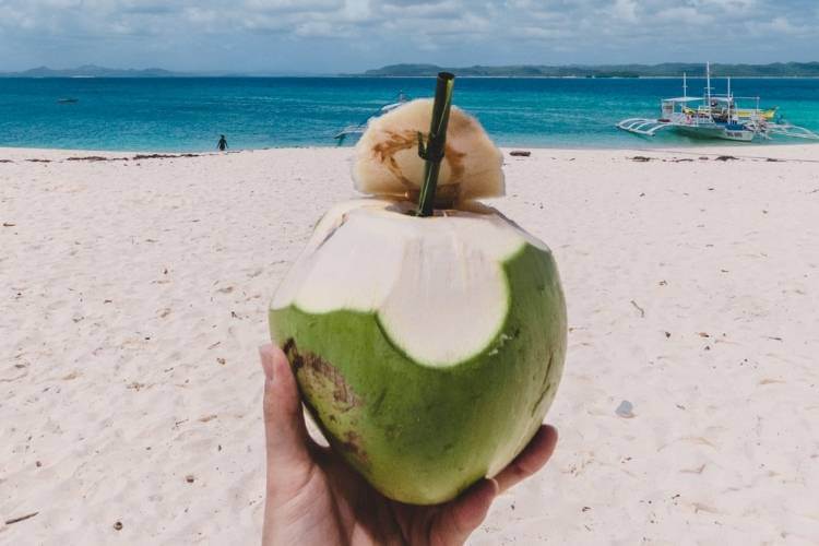 mão segurando água de coco na praia água de coco