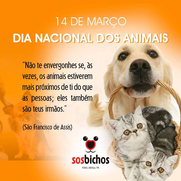 Foto sobre o Dia Nacional dos Animais.