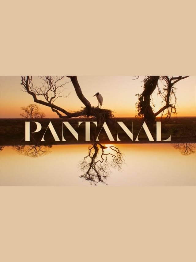 Resumo de “Pantanal”: 4 a 9 de abril