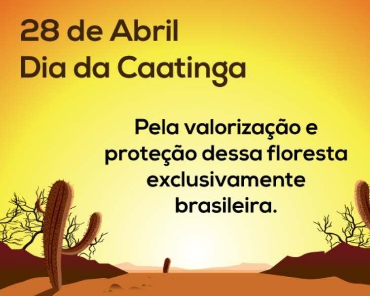 Foto sobre o Dia da Caatinga, 28 de abril.