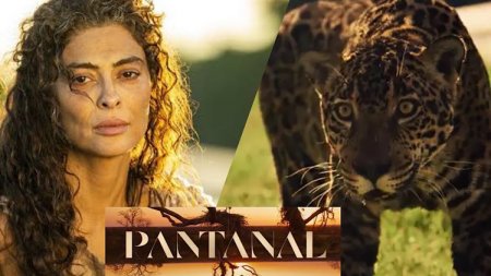 Globo vibra com sucesso de Pantanal e prepara novos remakes do mesmo autor para o horário das nove