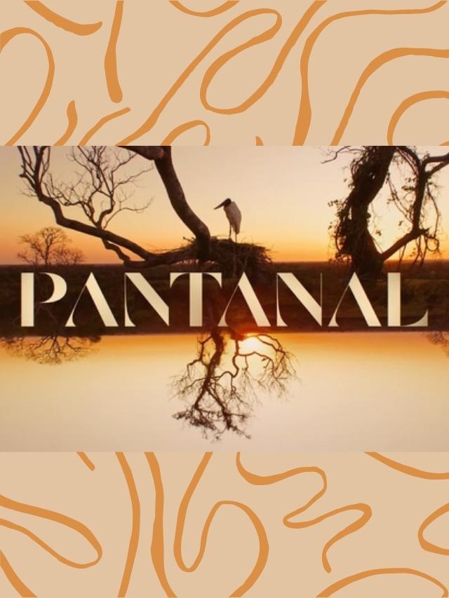 Resumo de Pantanal – 30 de maio a 4 de junho