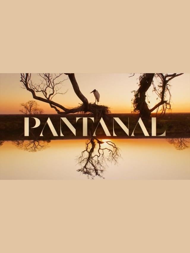 Resumo de Pantanal – 9 a 14 de maio