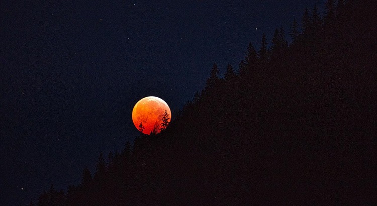 Foto de eclipse lunar com lua vermelha, e sombra de árvores
