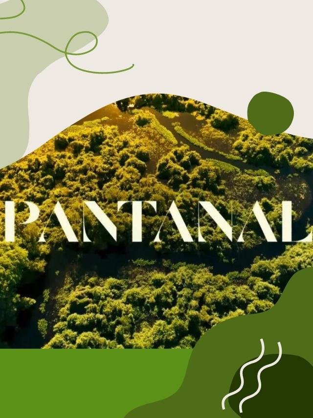 Resumo de Pantanal – 16 a 21 de maio