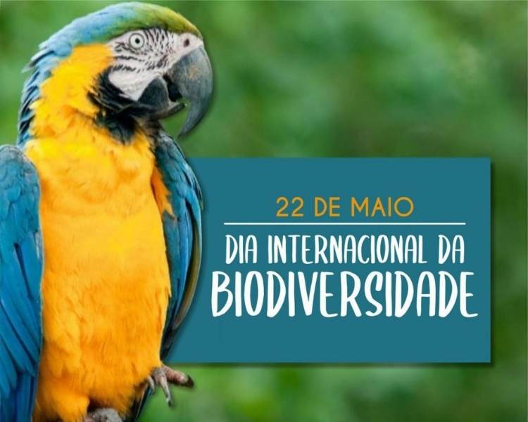 Frase sobre Dia Internacional da Biodiversidade, 22 de maio.
