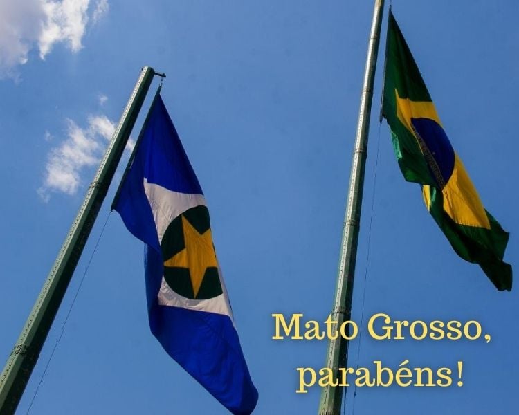 Foto de bandeiras, de Mato Grosso e do Brasil ao vento.