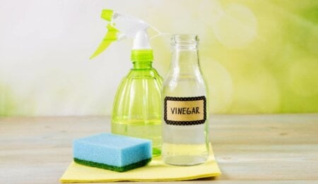 Vinagre para limpeza: 10 receitas simples que ajudam na faxina