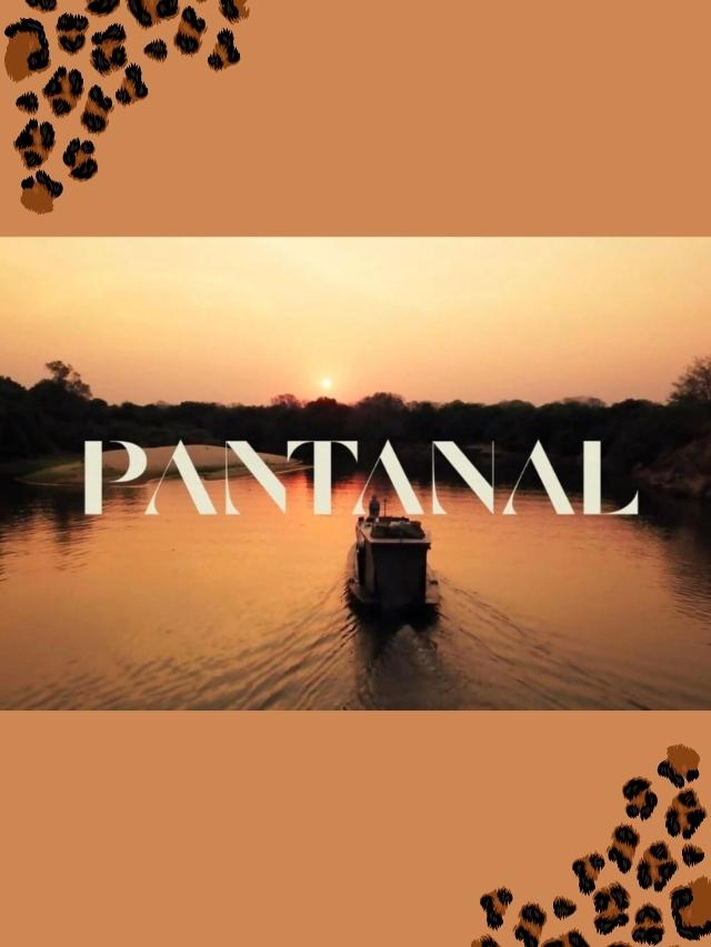 Resumo de Pantanal – 6 a 11 de junho
