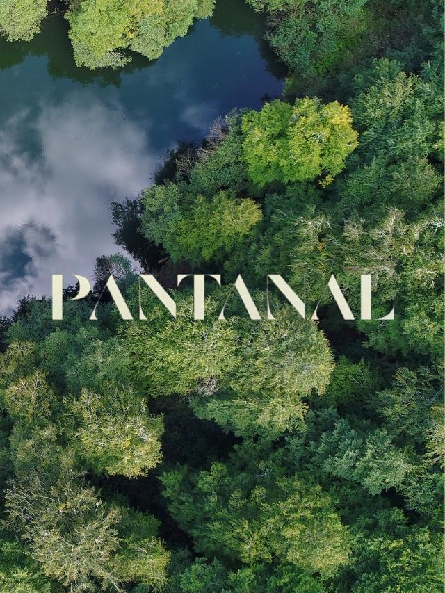 Resumo de Pantanal – 13 a 18 de junho