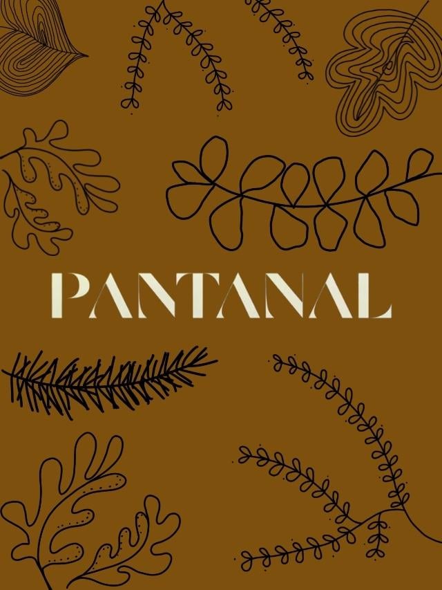 Resumo de Pantanal – 20 a 25 de junho