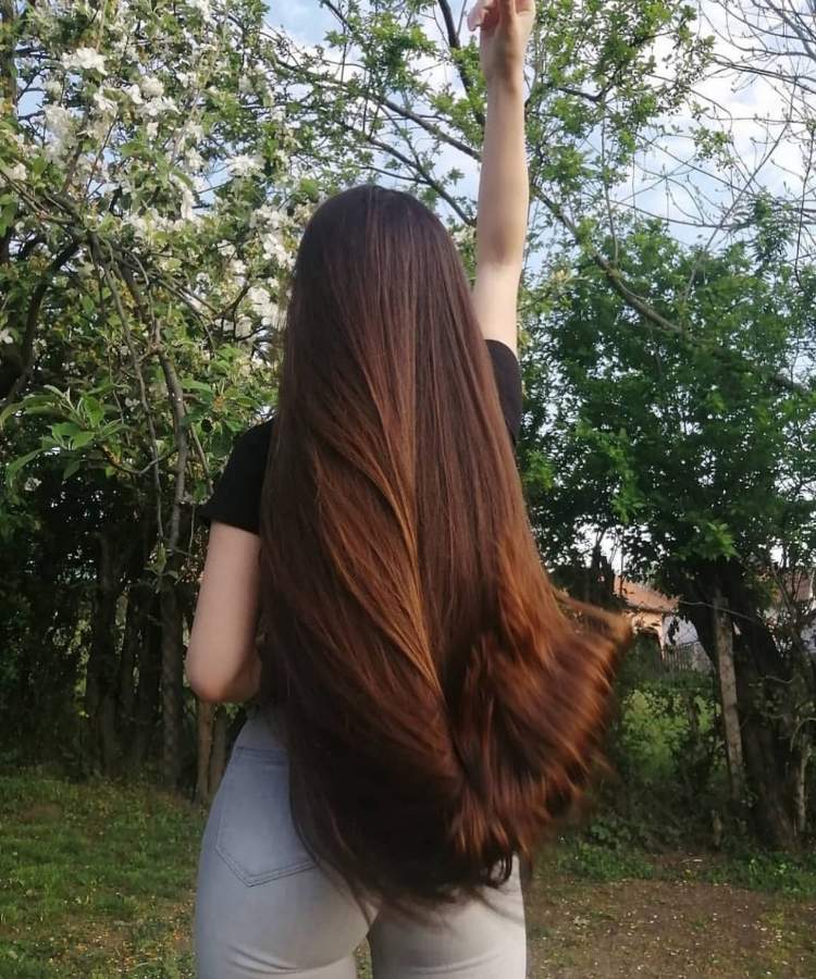 corte de cabelo longo liso gigante. corte de cabelo longo liso.