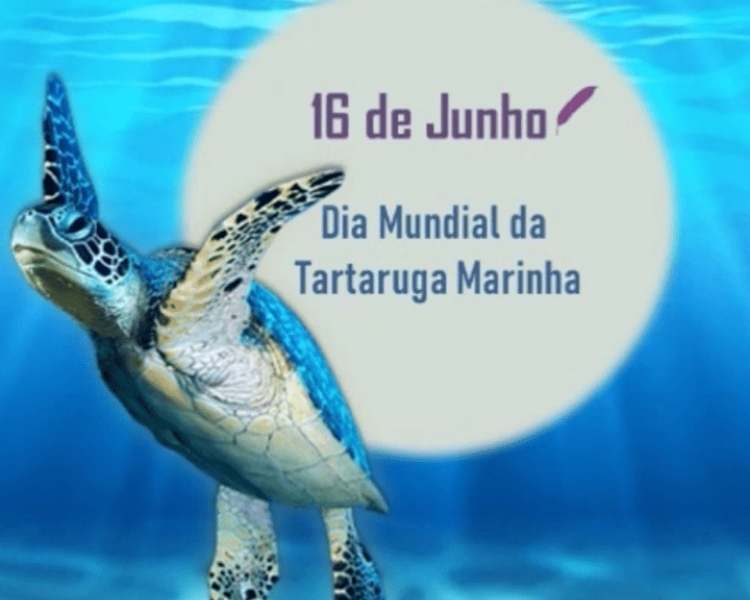 Foto sobre Dia Internacional da Tartaruga Marinha.